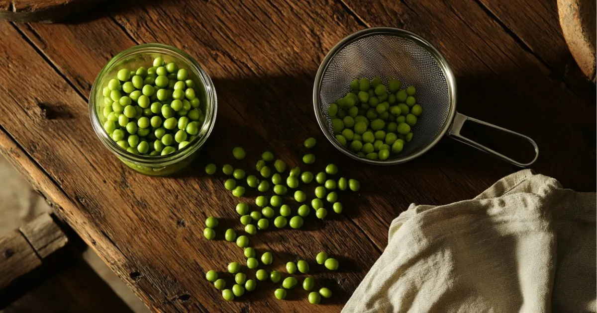 A measuring cup filled with drained green beans next to an open can of green beans on a kitchen counter.